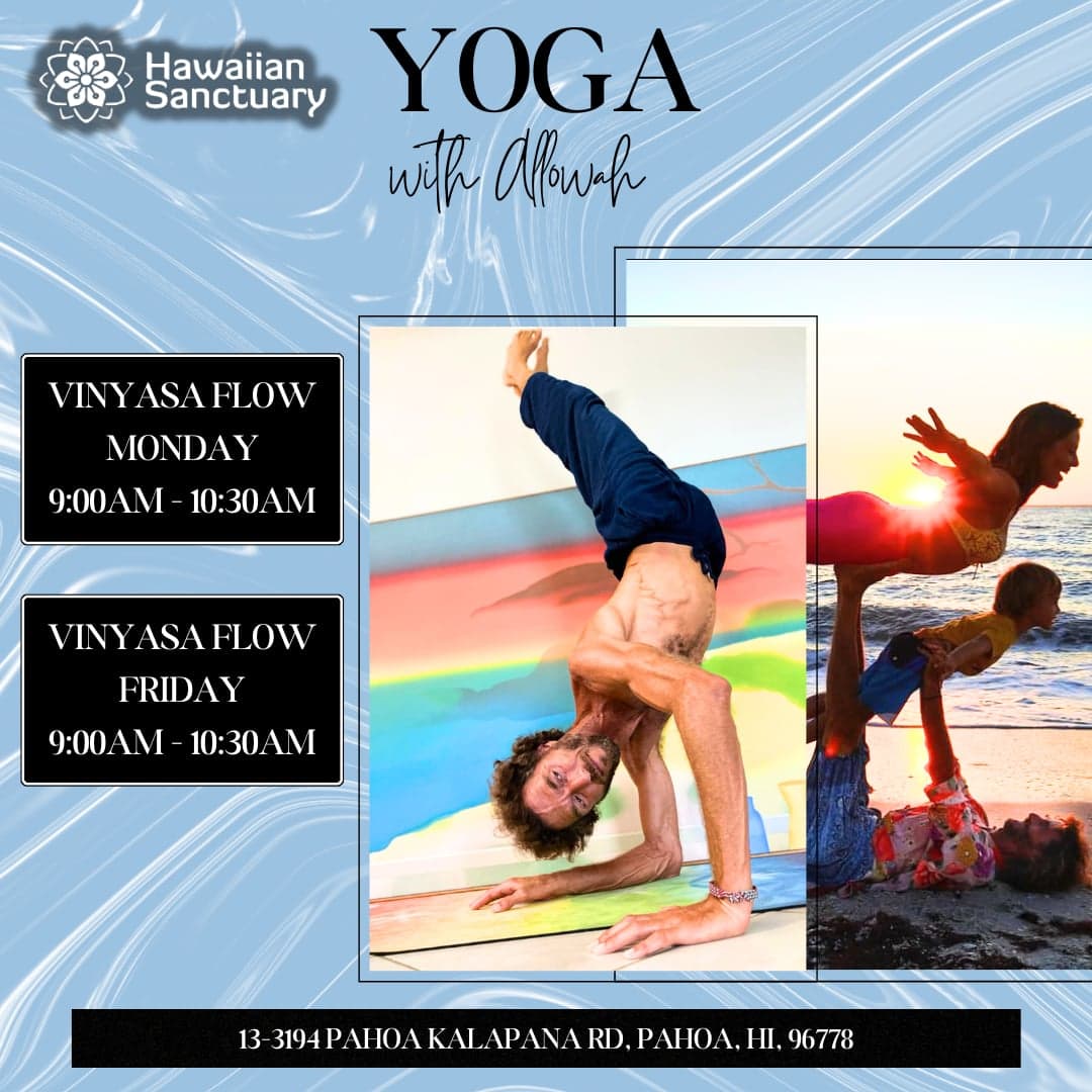 Vinyasa Flow with Allowah — Friday Class