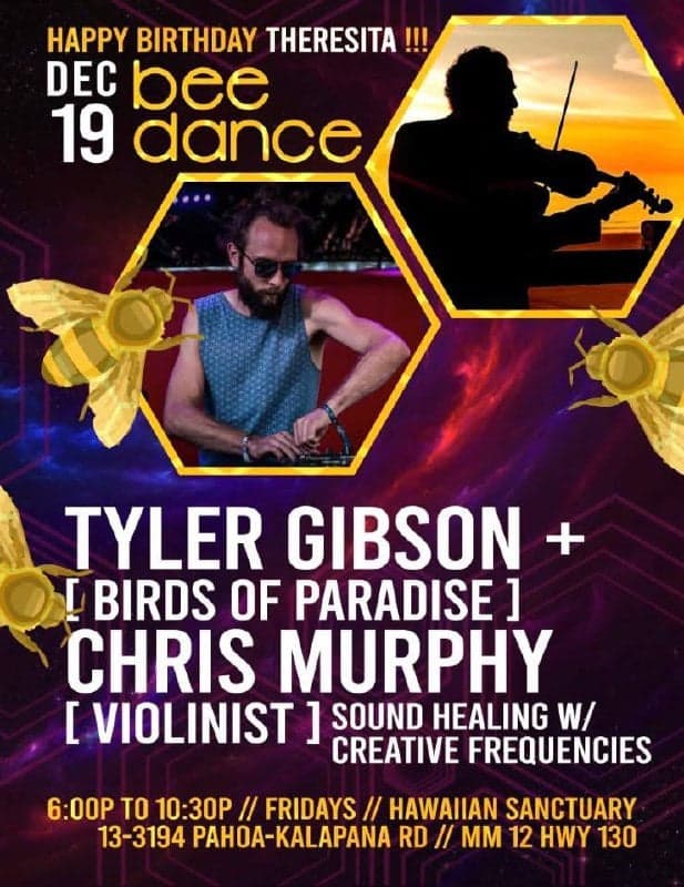 Bee Dance: Tyler Gibson + Chris Murphy