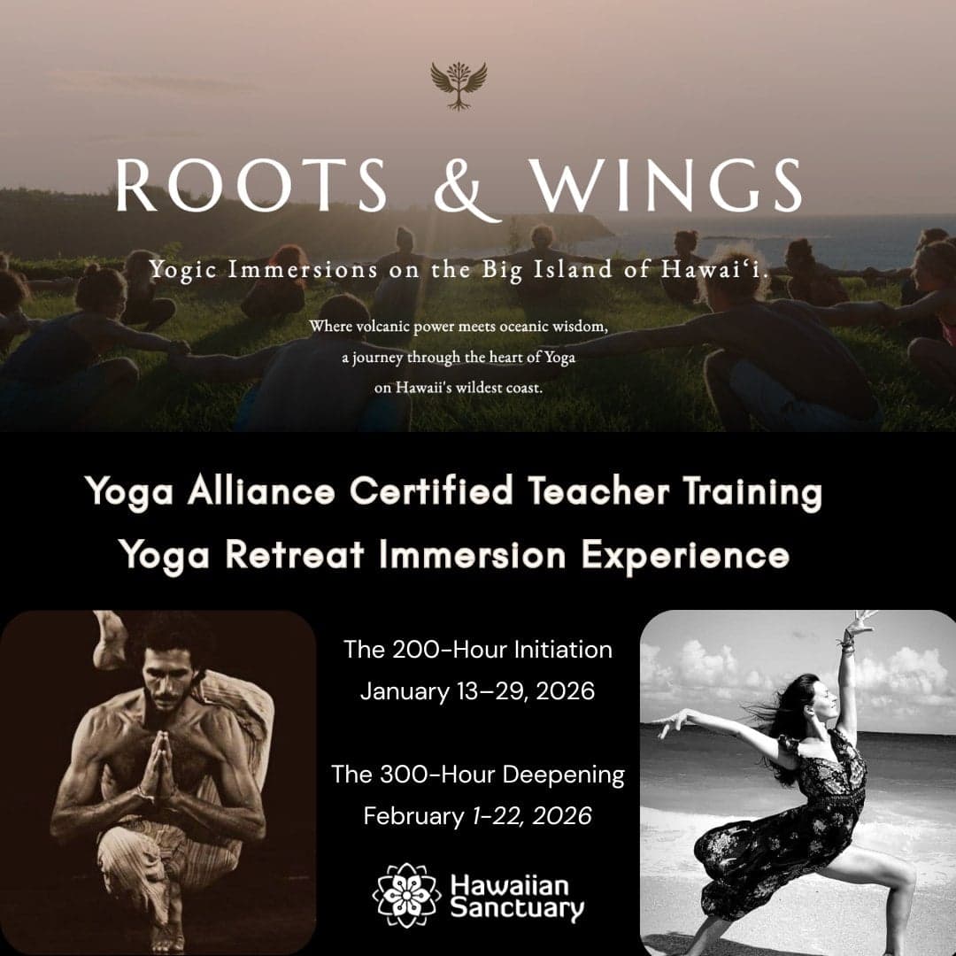 Roots & Wings 200-Hour Yoga Teacher Training