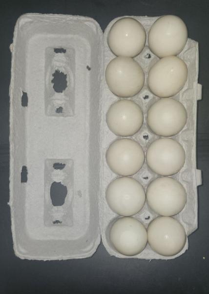 Marketplace thumbnail for Muscovy Eggs
