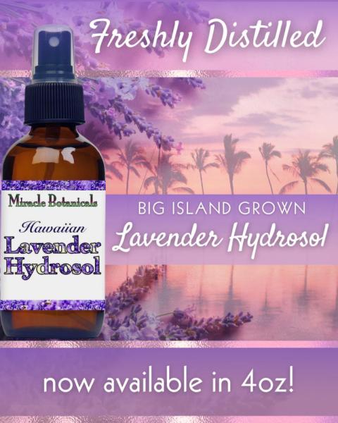 Marketplace thumbnail for Hawaiian Lavender Hydrosol - 4oz