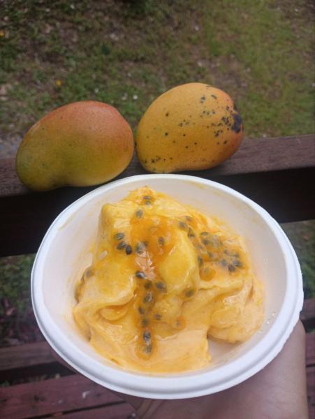 Event thumbnail for Delicious Mango Sorbet at Kaimu