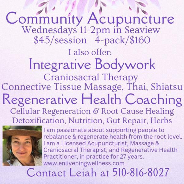 Event thumbnail for Community Acupuncture in Seaview