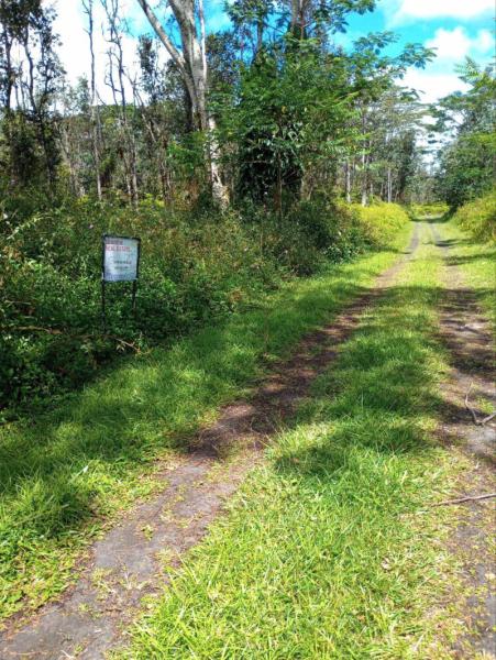 Marketplace thumbnail for Two Side-by-Side Lots in Nanawale with Reduced Price and Owner Finance Option