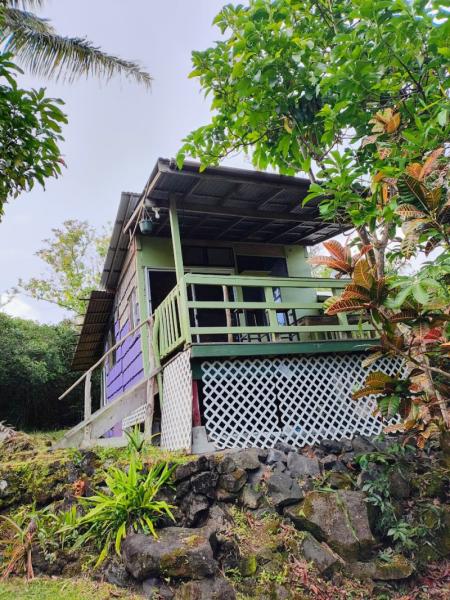 Marketplace thumbnail for Bamboo Cabin in Garden Temple