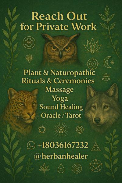 Marketplace thumbnail for Private Wellness Services